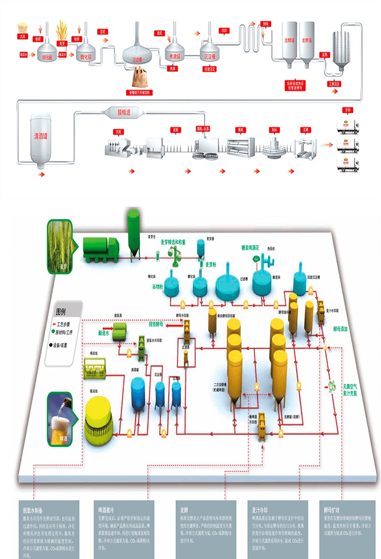 啤酒生产过程.jpg